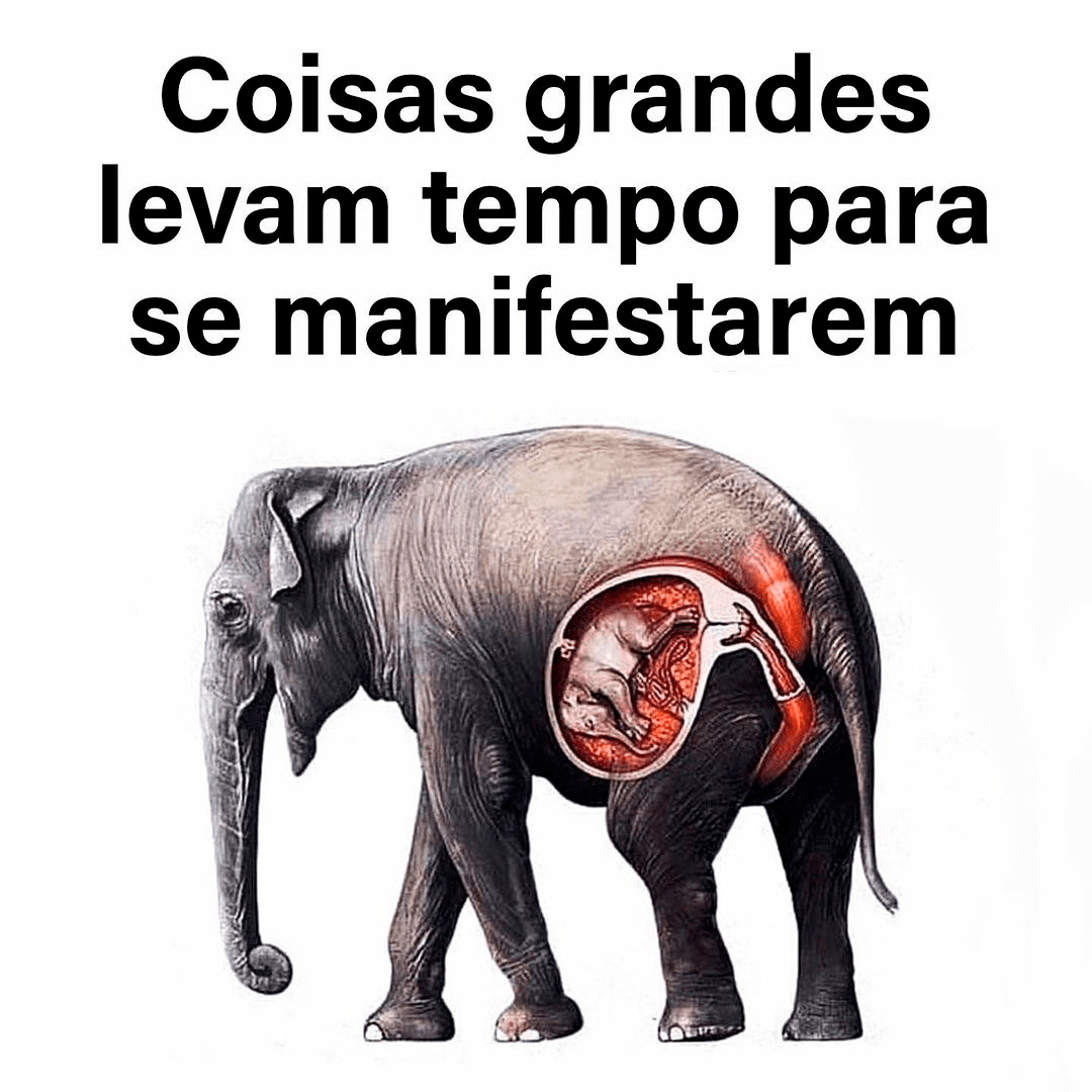 COISAS GRANDES LEVAM TEMPO PARA SE MANIFESTAREM 7 COISAS GRANDES LEVAM TEMPO PARA SE MANIFESTAREM