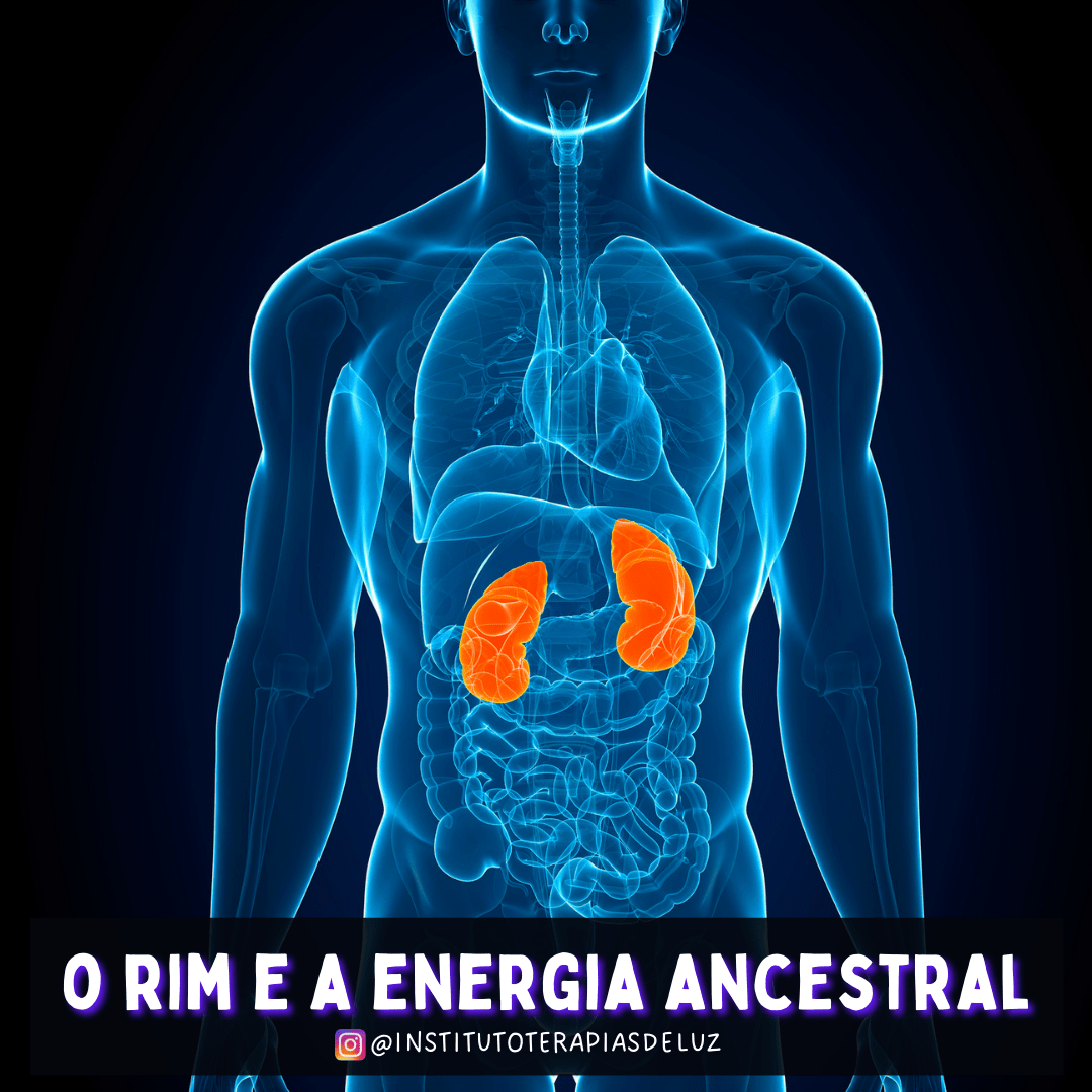 O RIM E A ENERGIA ANCESTRAL 9 O RIM E A ENERGIA ANCESTRAL