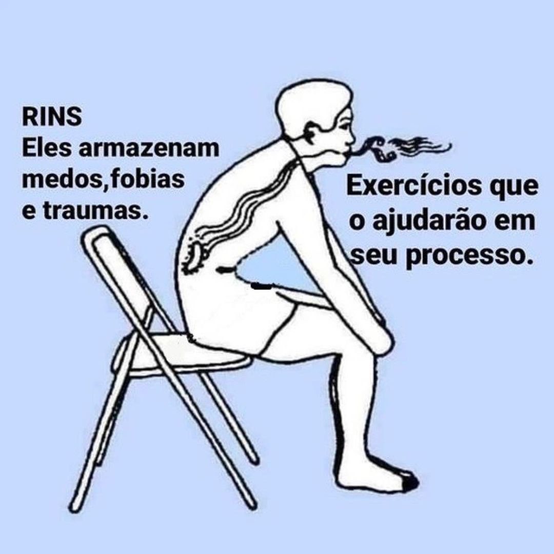 SIGNIFICADO ESPIRITUAL DOS RINS 1 SIGNIFICADO ESPIRITUAL DOS RINS