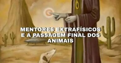 MENTORES EXTRAFÍSICOS E A PASSAGEM FINAL DOS ANIMAIS