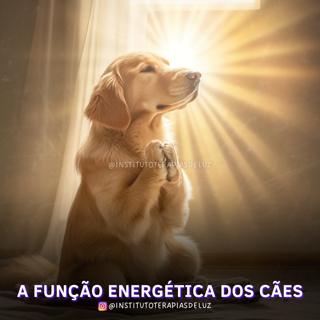 A FUNÇÃO ENERGÉTICA DOS CÃES 9 A FUNÇÃO ENERGÉTICA DOS CÃES