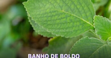BANHO DE BOLDO