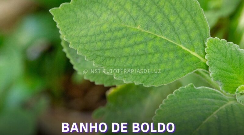 BANHO DE BOLDO