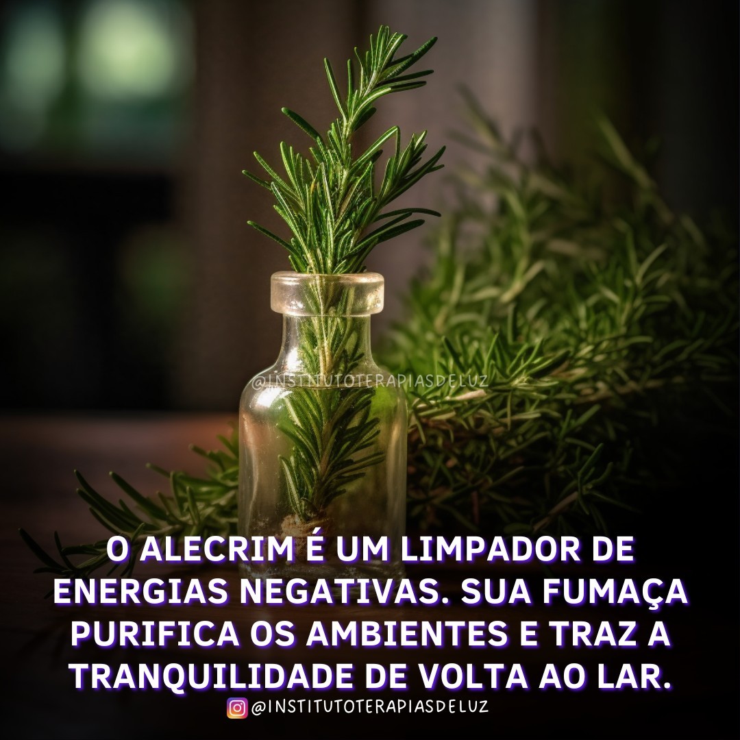 O ALECRIM É UM LIMPADOR DE ENERGIAS NEGATIVAS 9 O ALECRIM É UM LIMPADOR DE ENERGIAS NEGATIVAS