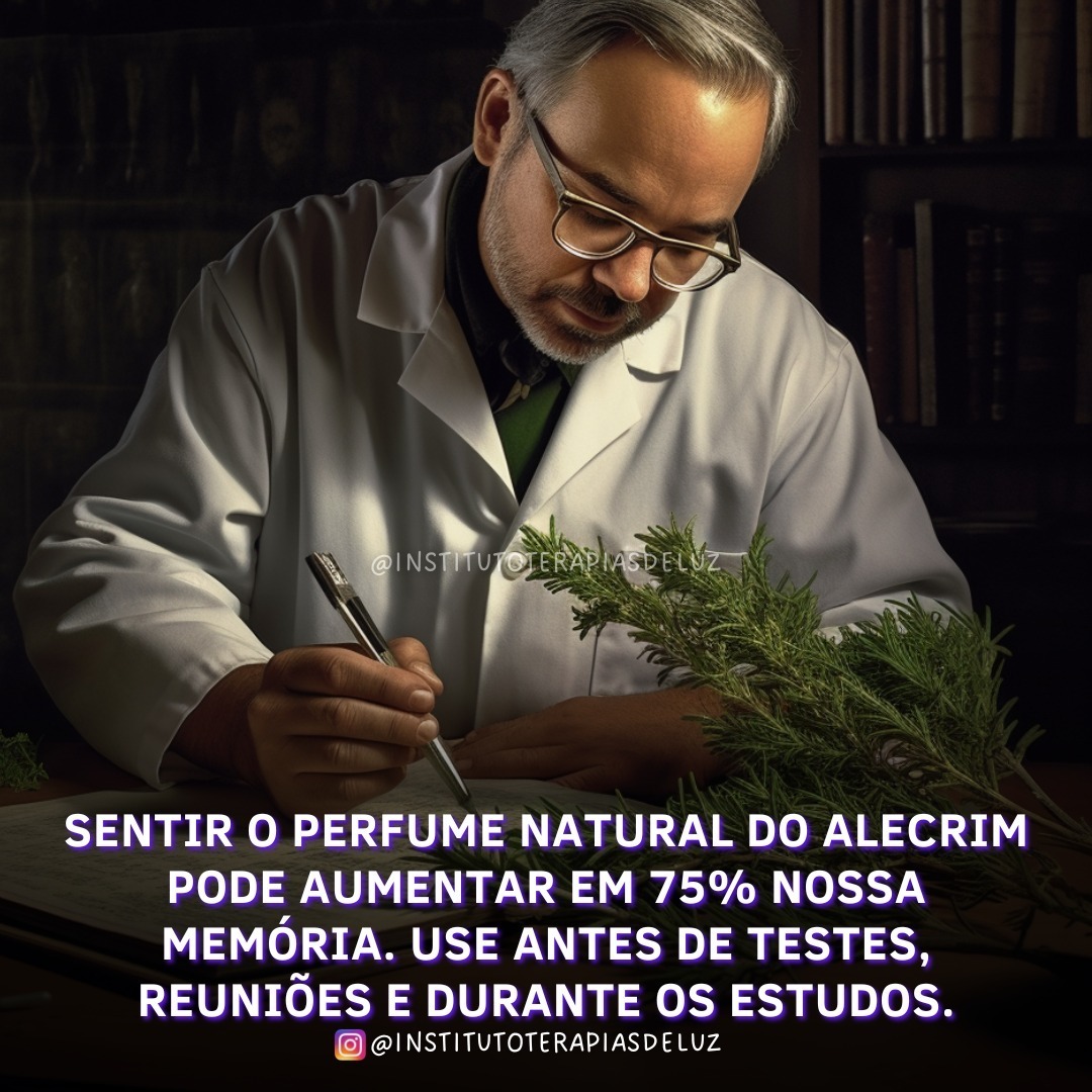 SENTIR O PERFUME NATURAL DO ALECRIM PODE AUMENTAR EM 75% NOSSA MEMÓRIA. 3 SENTIR O PERFUME NATURAL DO ALECRIM PODE AUMENTAR EM 75% NOSSA MEMÓRIA.