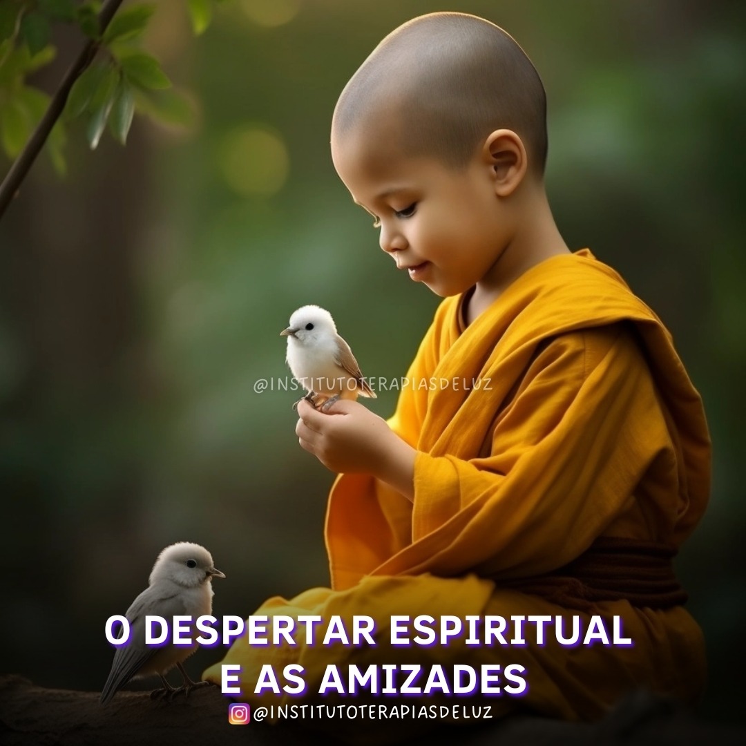 O DESPERTAR ESPIRITUAL E AS AMIZADES 9 ODESPERTAR ESPIRITUAL E AS AMIZADES