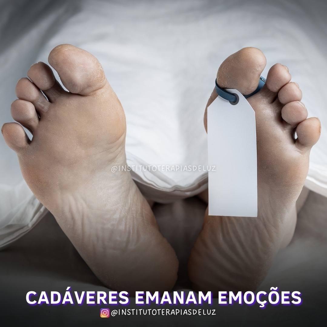 CADÁVERES EMANAM EMOÇÕES 10 CADÁVERES EMANAM EMOÇÕES